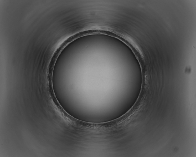 X0000090950972200708241124