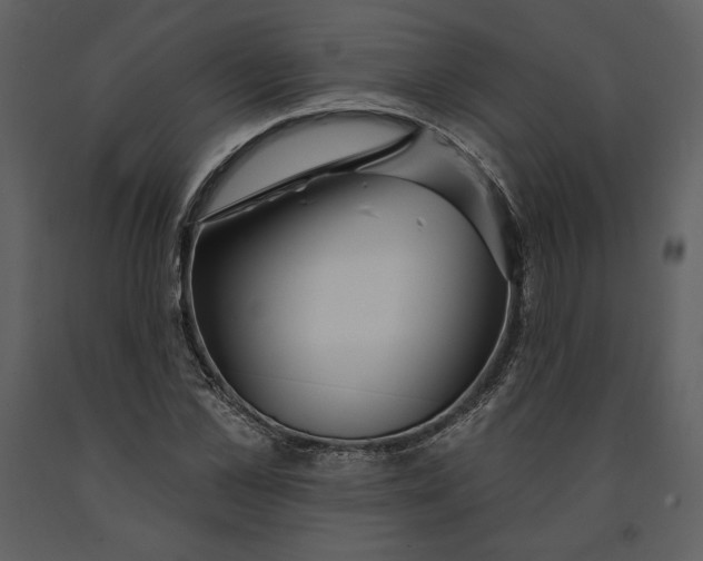 X0000090950973200708241124