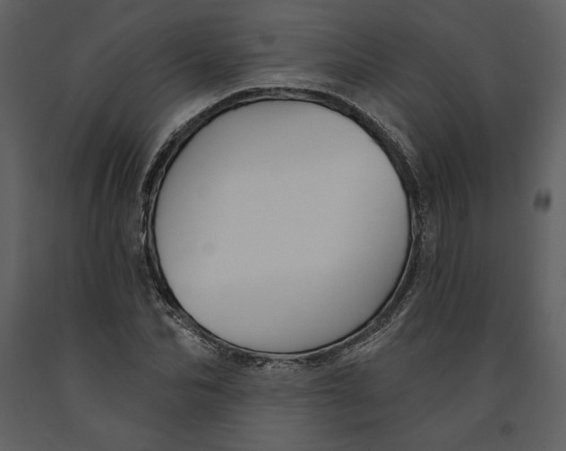 X0000090950974200708241124