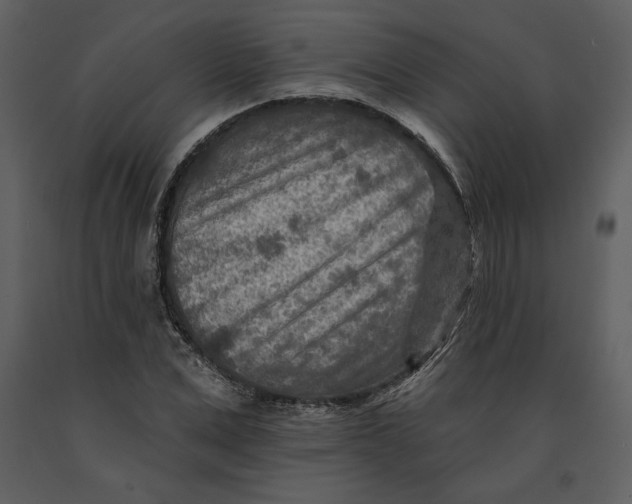 X0000090950975200708241124