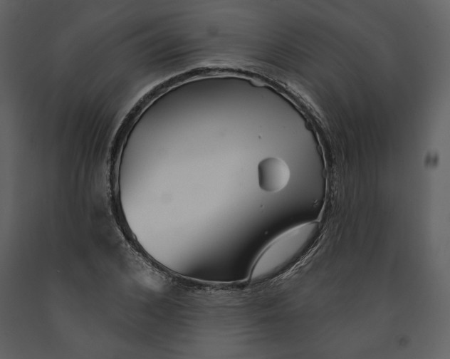 X0000090950976200708241124