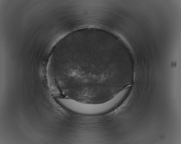 X0000090950977200708241124