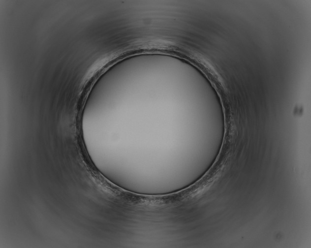 X0000090950978200708241124