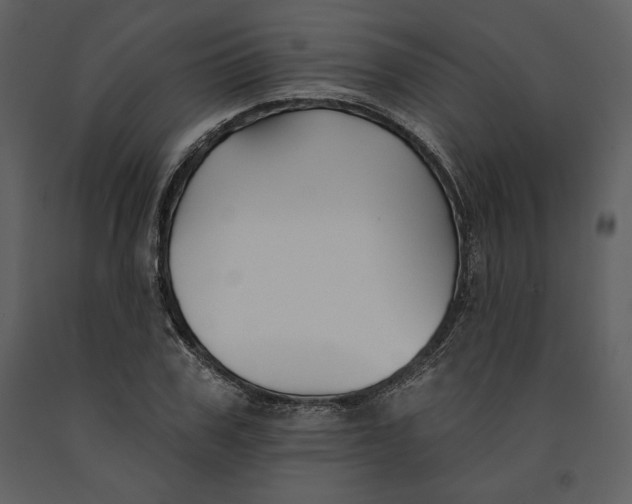 X0000090950979200708241124