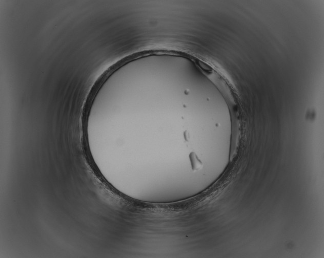 X0000090950980200708241124
