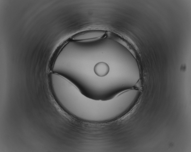 X0000090950981200708241124