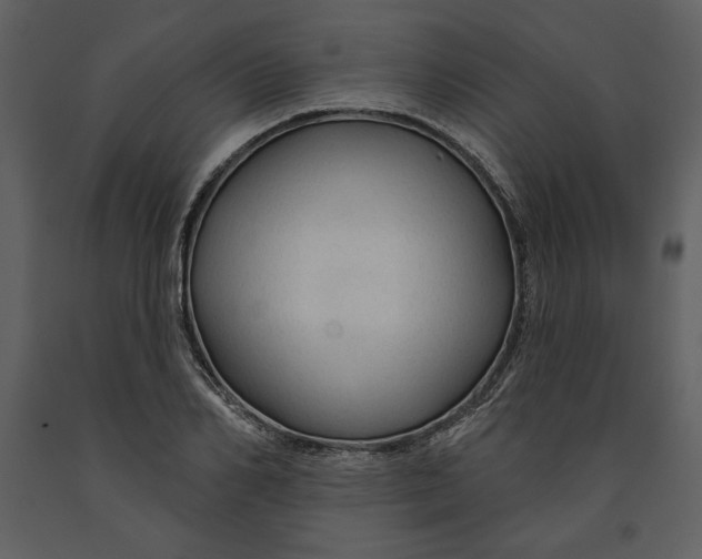 X0000090950982200708241124