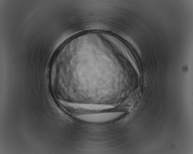 X0000090950983200708241124