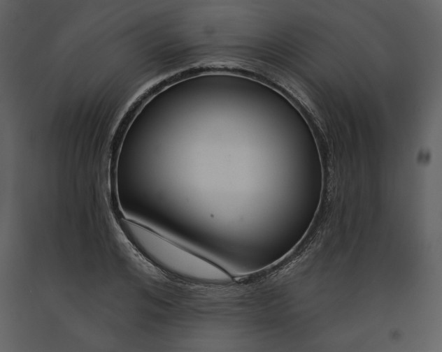 X0000090950984200708241124