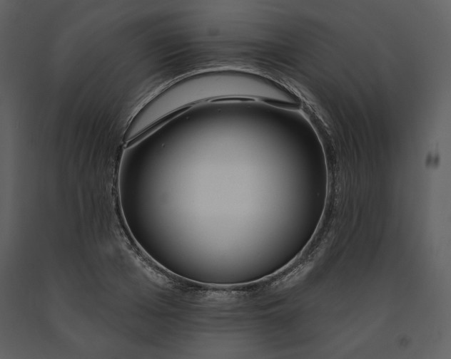 X0000090950985200708241124
