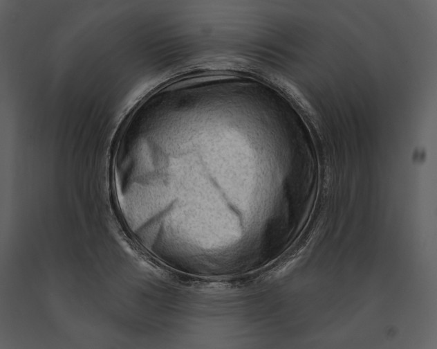 X0000090950986200708241124