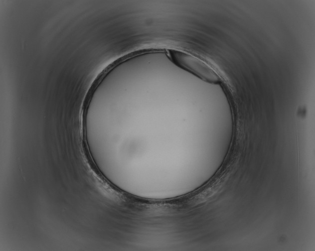 X0000090950988200708241124