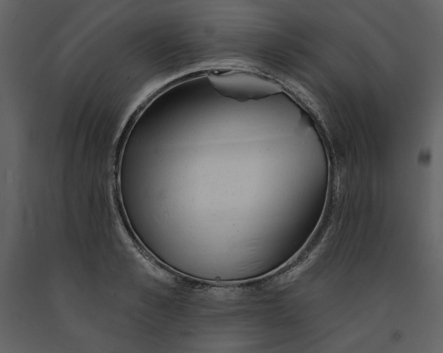 X0000090950989200708241124