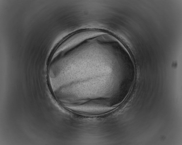 X0000090950990200708241124