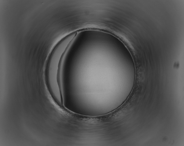 X0000090950991200708241124