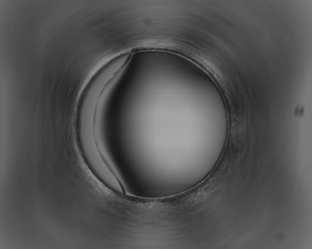 X0000090950992200708241124