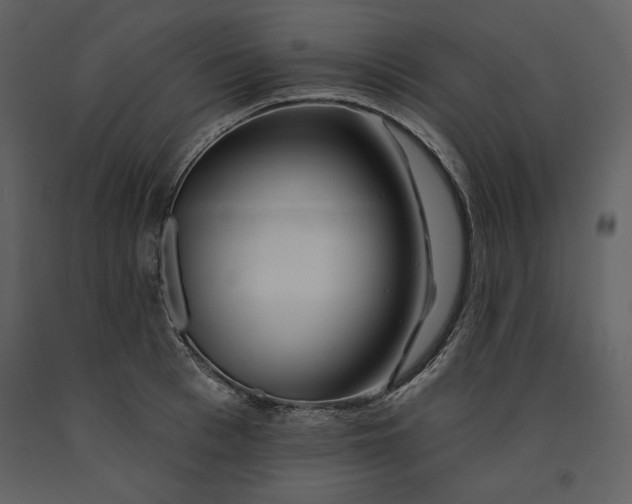 X0000090950993200708241124
