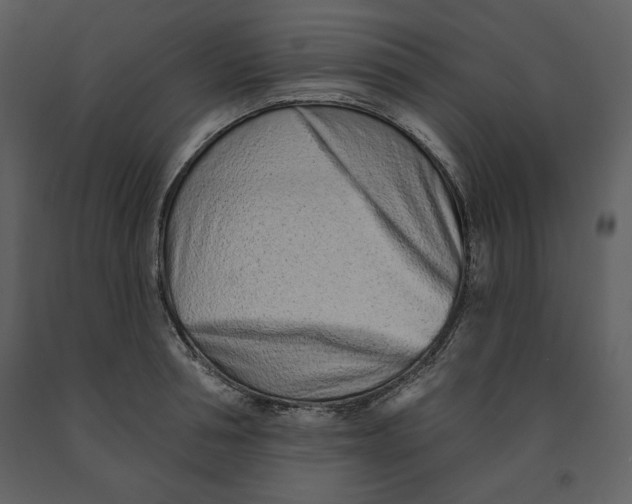 X0000090950994200708241124