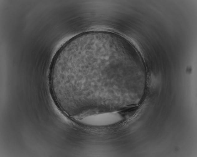 X0000090950995200708241124