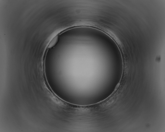 X0000090950996200708241124