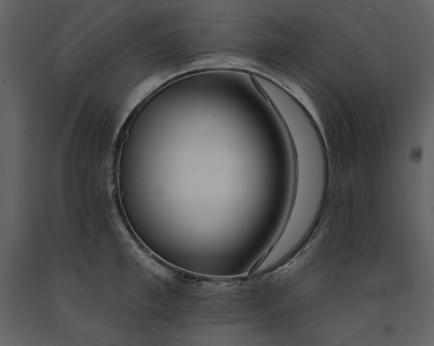 X0000090950997200708241124