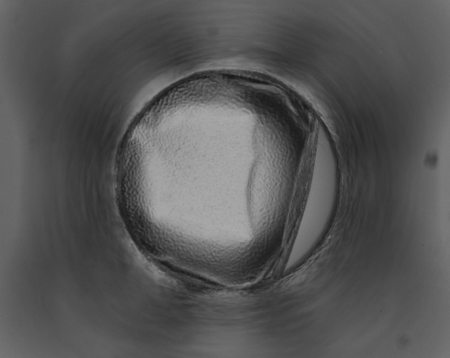 X0000090950998200708241124