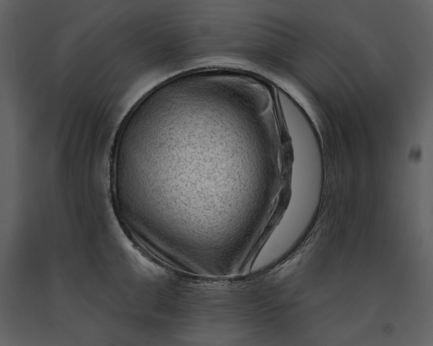X0000090950999200708241124