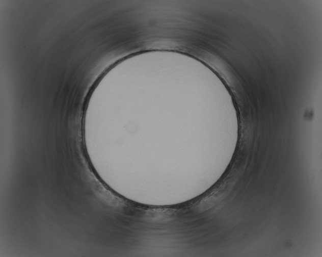 X0000090951000200708241124