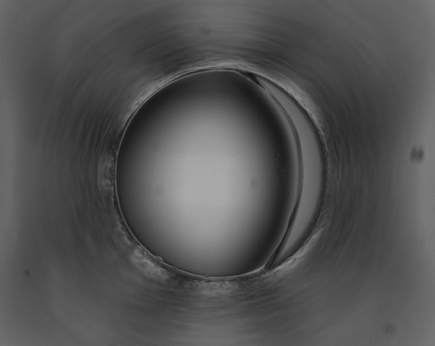 X0000090951001200708241124
