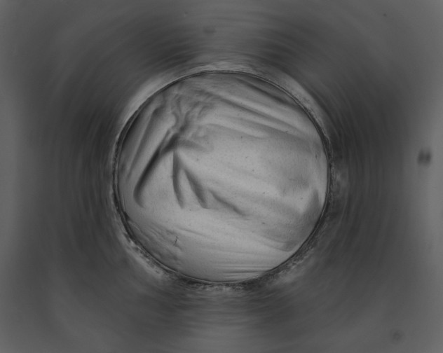 X0000090951002200708241124