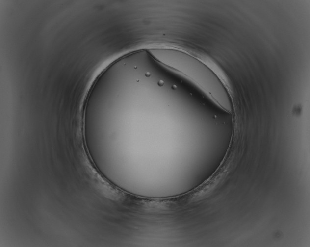 X0000090951004200708241124