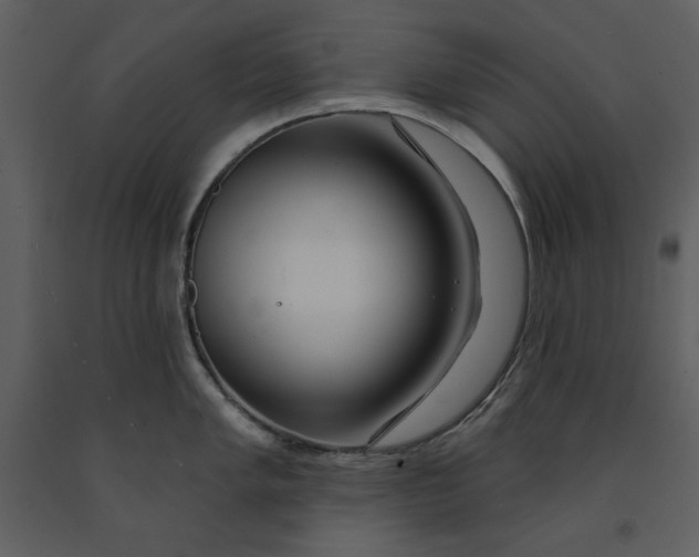 X0000090951005200708241124