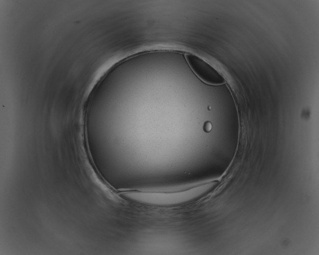 X0000090951006200708241124