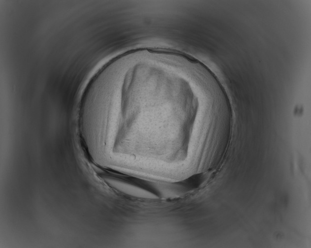 X0000090951008200708241124