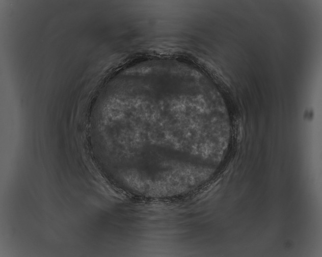 X0000090951009200708241123