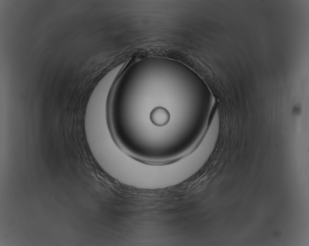 X0000090951010200708241123