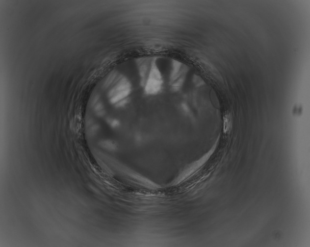 X0000090951011200708241123