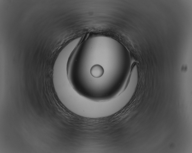 X0000090951012200708241123
