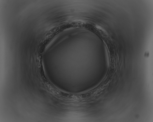 X0000090951013200708241123