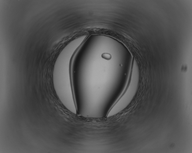 X0000090951014200708241123