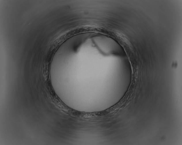 X0000090951015200708241123