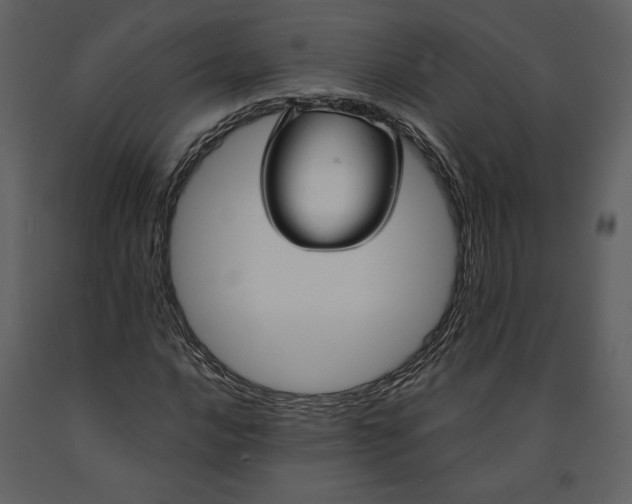 X0000090951016200708241123