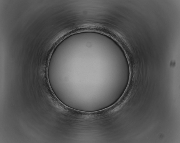 X0000090951017200708241123