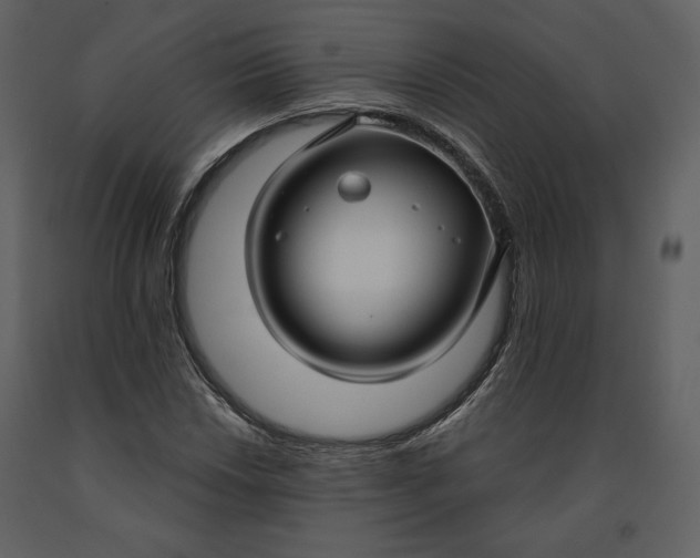 X0000090951018200708241123
