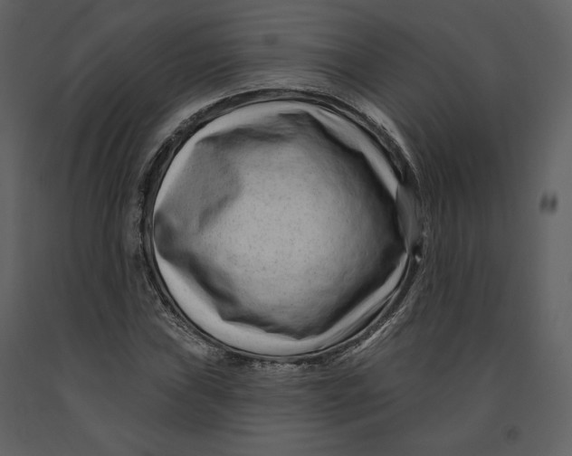 X0000090951019200708241123