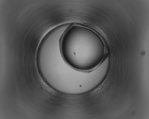 X0000090951020200708241123