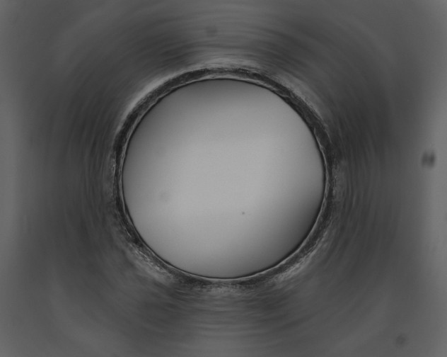 X0000090951021200708241123