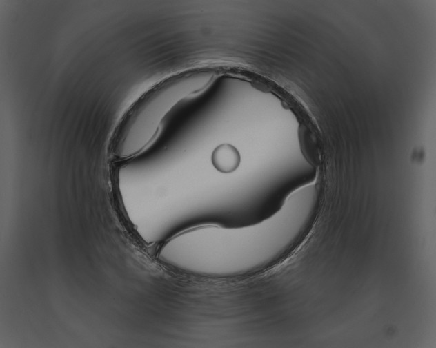 X0000090951022200708241123