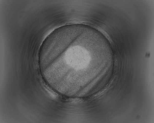 X0000090951023200708241123