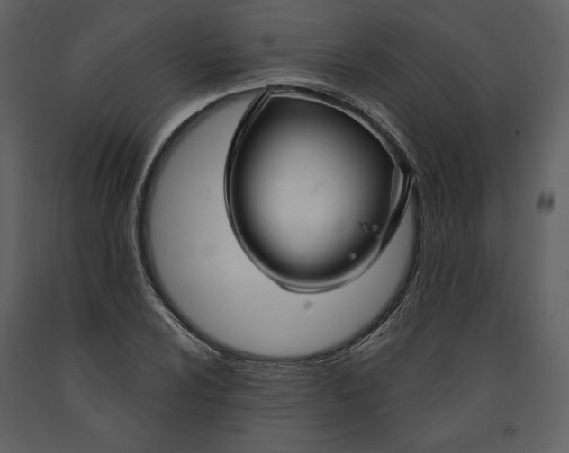X0000090951024200708241123